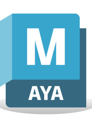 Autodesk Maya 2025 For Windows [Lifetime License]