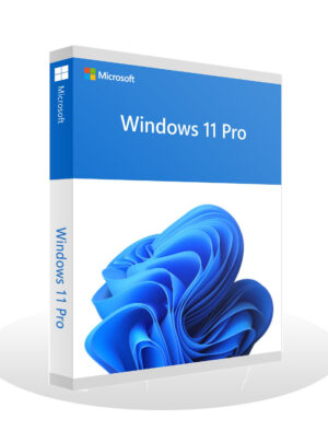 Microsoft Windows 11 Professional [Lifetime License]