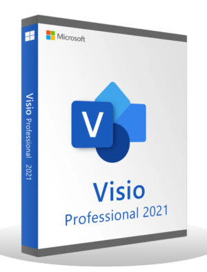 Microsoft Visio Professional 2021 [Lifetime License]