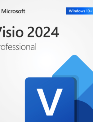 Microsoft Visio Professional 2024 For Windows [Lifetime License]