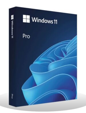 Windows 11 Professional Lite [Lifetime License]